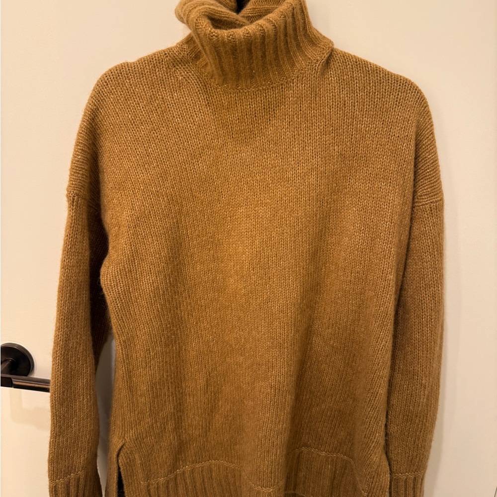 Everlane Cloud Turtleneck Sweater